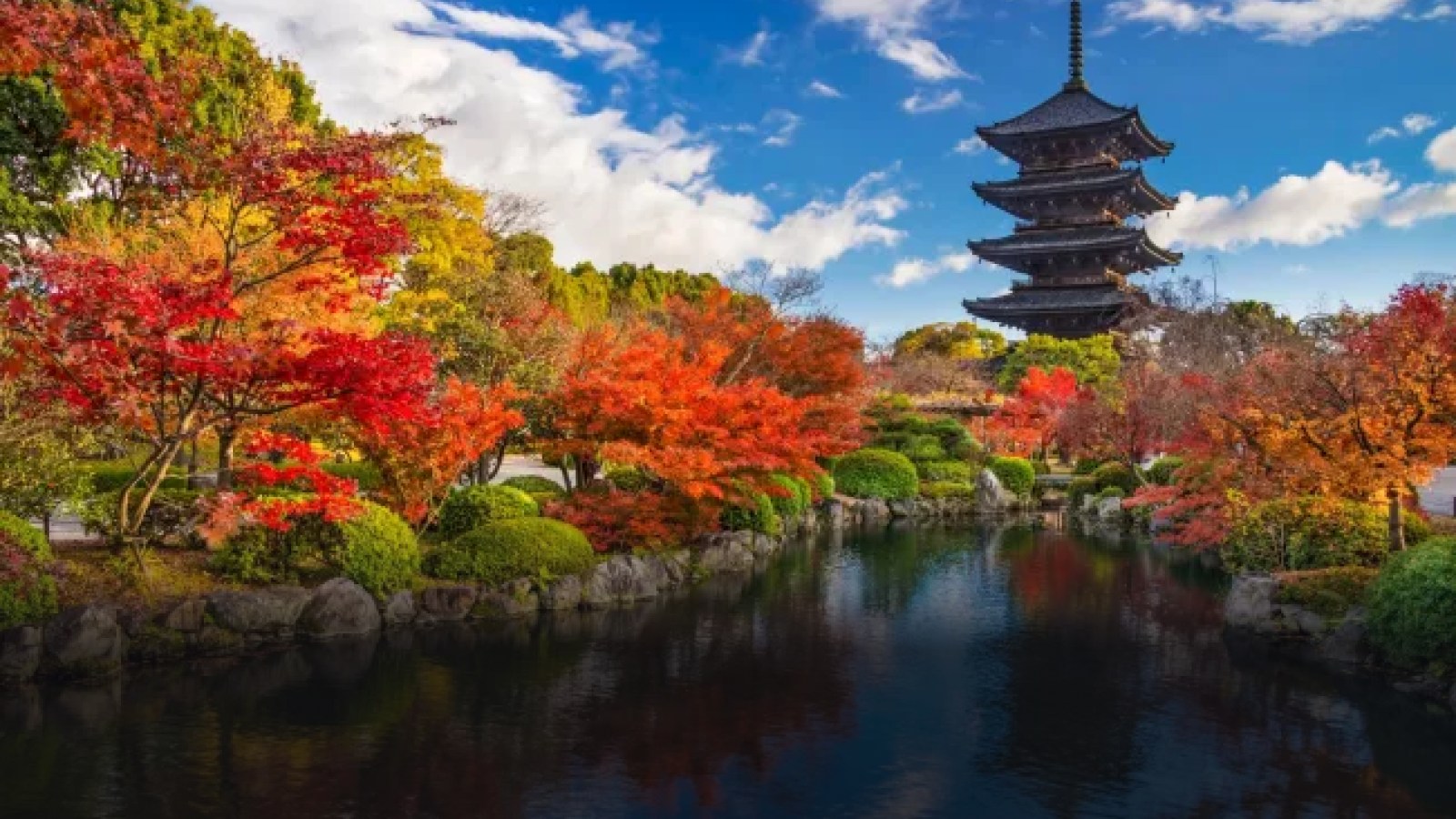 Japan Opens Doors to Pakistani Citizens with New Tourist Visa Opportunities."