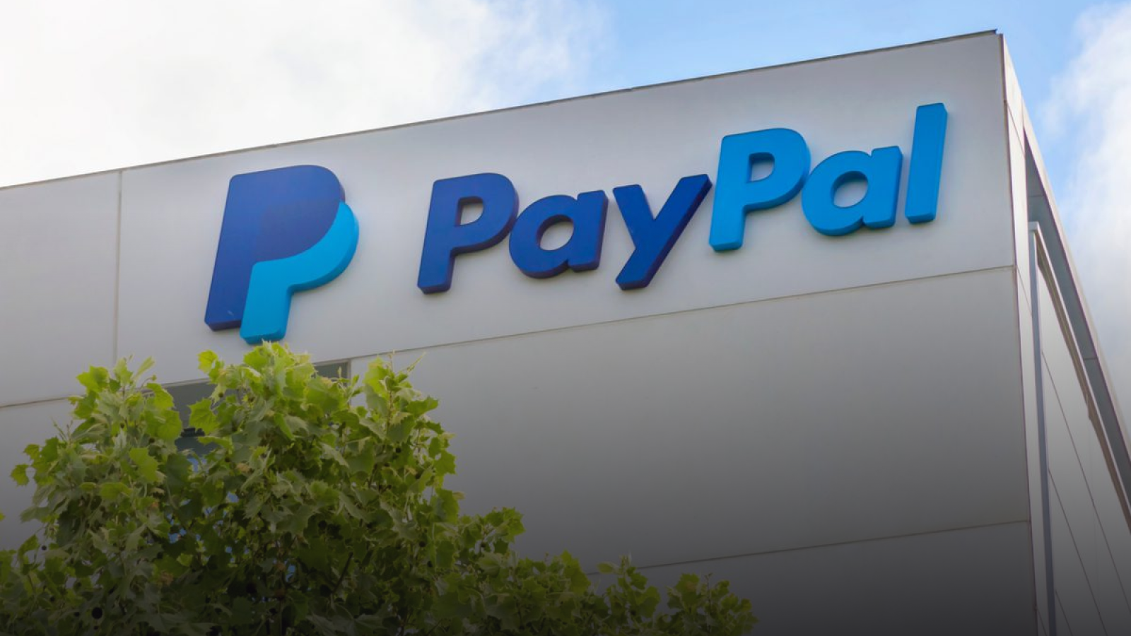 THE NEW PAKISTAN TNP "PayPal's Arrival in Pakistan Spells Good News for Freelancers" "PayPal's Arrival in Pakistan Spells Good News for Freelancers"